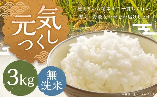 元気つくし 3kg 無洗米 お米 米 こめ コメ 白飯 飯 ご飯 おにぎり 国産 福岡県産
