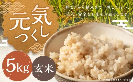 元気つくし 5kg 玄米 お米 米 こめ コメ 飯 ご飯 おにぎり 国産 福岡県産