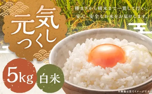 元気つくし 5kg 白米 お米 米 こめ コメ 白飯 飯 ご飯 おにぎり 国産 福岡県産