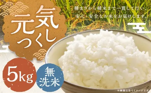 元気つくし 5kg 無洗米 お米 米 こめ コメ 白飯 飯 ご飯 おにぎり 国産 福岡県産