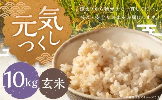 元気つくし 10kg 玄米 お米 米 こめ コメ 飯 ご飯 おにぎり 国産 福岡県産