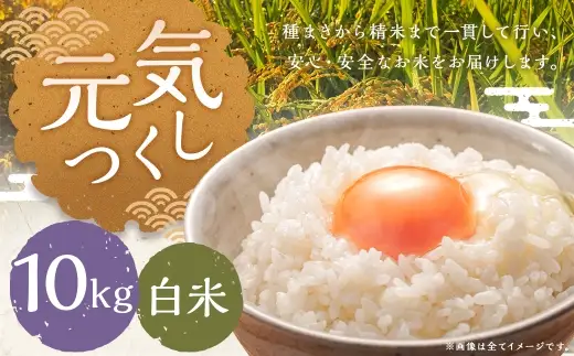 元気つくし 10kg 白米 お米 米 こめ コメ 白飯 飯 ご飯 おにぎり 国産 福岡県産
