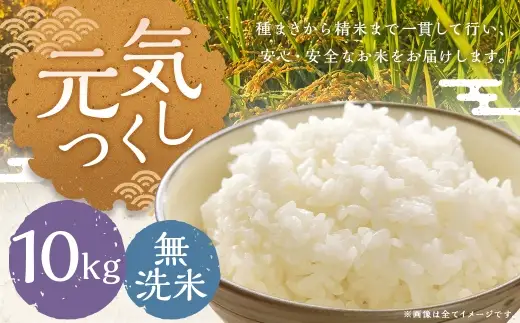 元気つくし 10kg 無洗米 お米 米 こめ コメ 白飯 飯 ご飯 おにぎり 国産 福岡県産