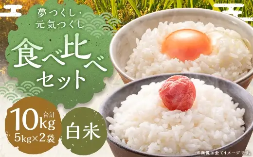 食べ比べセット 10kg （ 5kg × 2袋 ） 白米 夢つくし 元気つくし お米 米 こめ コメ 白飯 飯 ご飯 おにぎり 国産 福岡県産