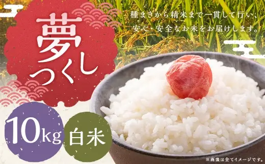 夢つくし 10kg 白米 お米 米 こめ コメ 白飯 飯 ご飯 おにぎり 国産 福岡県産