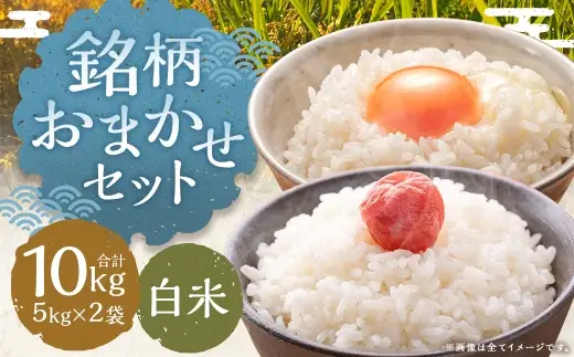 銘柄おまかセット 10kg （ 5kg × 2袋 ） 白米 夢つくし 元気つくし お米 米 こめ コメ 白飯 飯 ご飯 おにぎり 国産 福岡県産