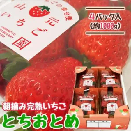 山元いちご農園 朝採りいちご とちおとめ 1.0kg(250g×4パック)【配送不可地域：離島・沖縄県】【1788977】