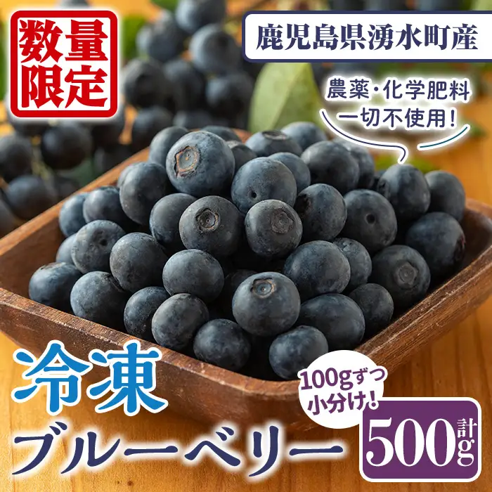 《数量限定》冷凍ブルーベリー(計500g・100g×5パック) 冷凍 無農薬 国産 九州産 鹿児島県産 くだもの 果物 フルーツ シャーベット ジャム フローズン ベリー おやつ デザート 【体験型観光農園さつまドリームファーム】_y610