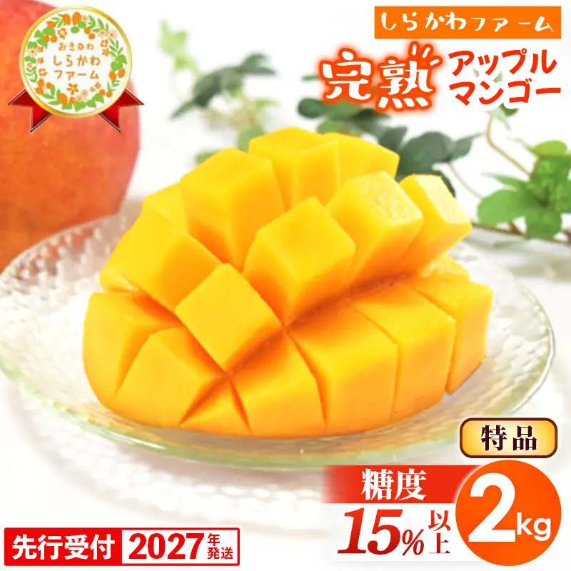 【先行受付】【2027年発送】しらかわファームのアップルマンゴー 特品 約2kg - 糖度15％以上 先行予約 沖縄 産地直送 南国フルーツ 旬の味覚 旬のフルーツ 贈り物 ギフト 沖縄県 八重瀬町