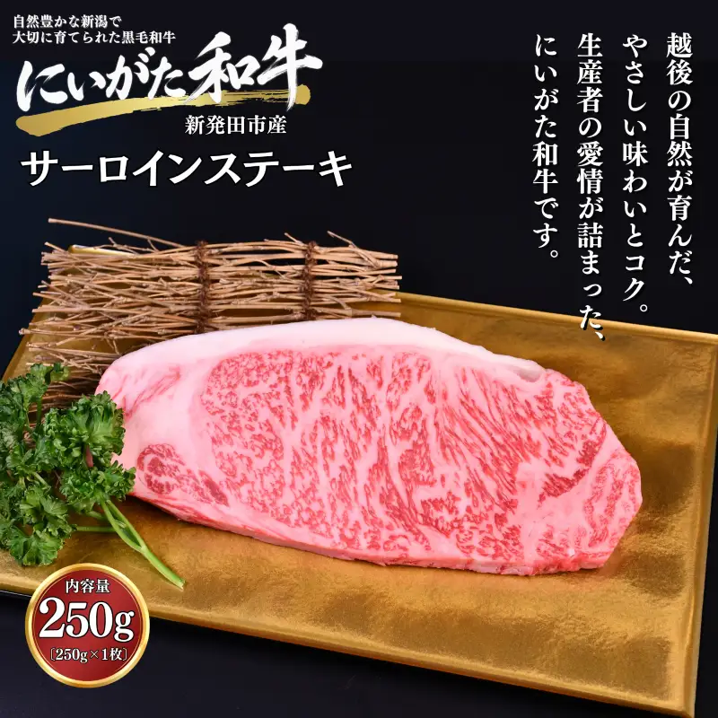 肉 和牛 サーロインステーキ 250g 焼肉 ステーキ にいがた和牛 黒毛和牛 牛肉 ギフト 贈答用 グルメ お取り寄せ 新発田市産 ごちそう 精肉 新潟県 新発田市 yoneichi013