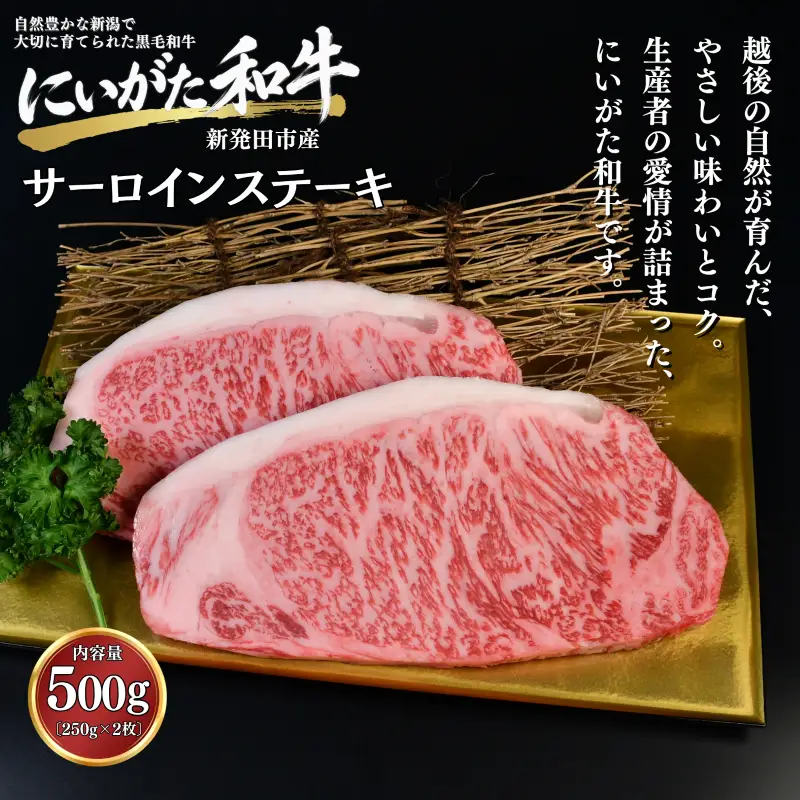 肉 和牛 サーロインステーキ 500g にいがた和牛 黒毛和牛 牛肉 ギフト 贈答用 300g×2袋 グルメ お取り寄せ 新発田市産 ごちそう 精肉 新潟県 新発田市 yoneichi014
