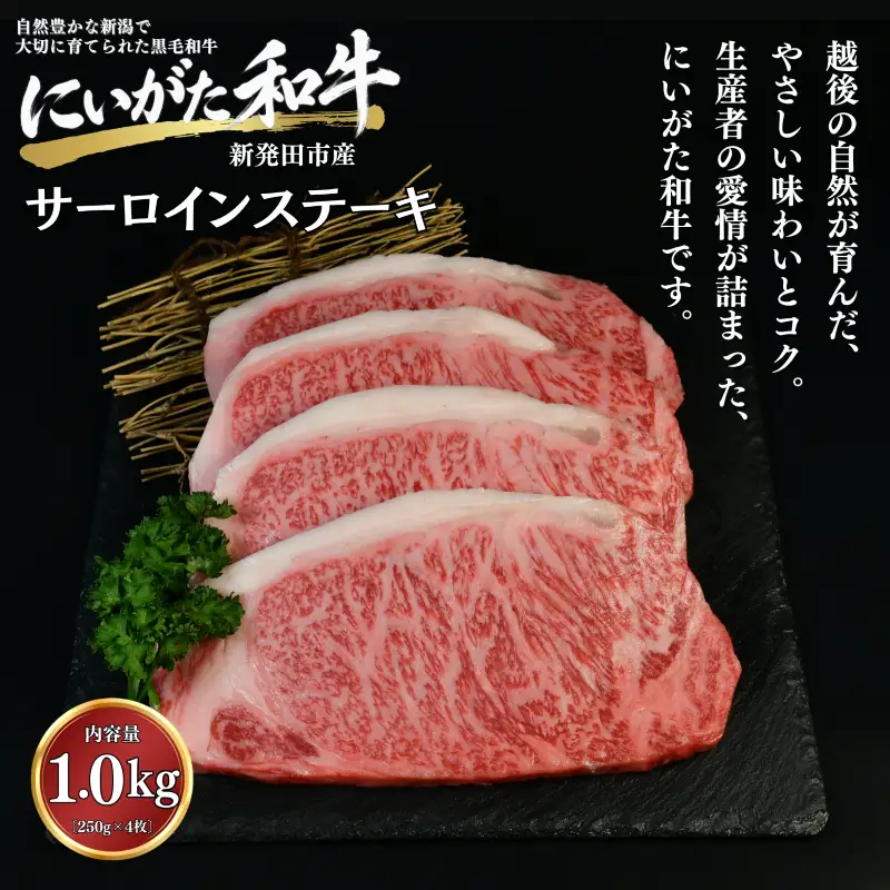 肉 和牛 サーロインステーキ 1kg にいがた和牛 黒毛和牛 牛肉 ギフト 贈答用 グルメ お取り寄せ 新発田市産 ごちそう 精肉 新潟県 新発田市 yoneichi015