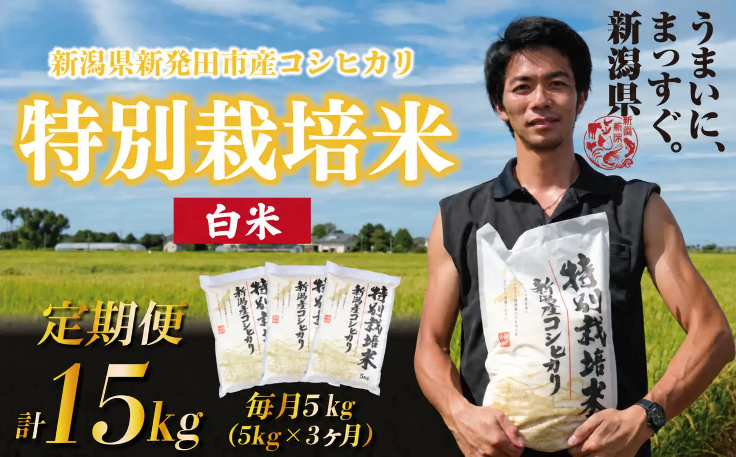 【令和8年産定期便】 3ヶ月 定期便 コシヒカリ 白米 5kg 3ヵ月 15kg 令和8年産 特別栽培米 こしひかり 米 お米 こめ 新潟米 新潟県産 新潟産 新潟 新潟県 新発田産 新発田 新発田市 斗伸 toushin074_01