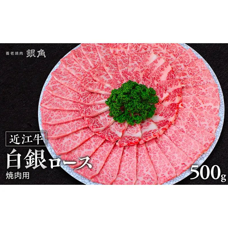 【近江牛】白銀ロース　焼肉用　500g　牛肉 お肉 国産 和牛 近江牛 滋賀県 米原市  ※12月以降お届け