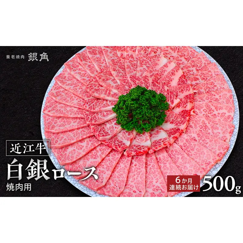 【近江牛】【定期便】白銀ロース　焼肉用　500g×6か月連続お届け　牛肉 お肉 国産 和牛 近江牛 滋賀県 米原市 ※初回は12月