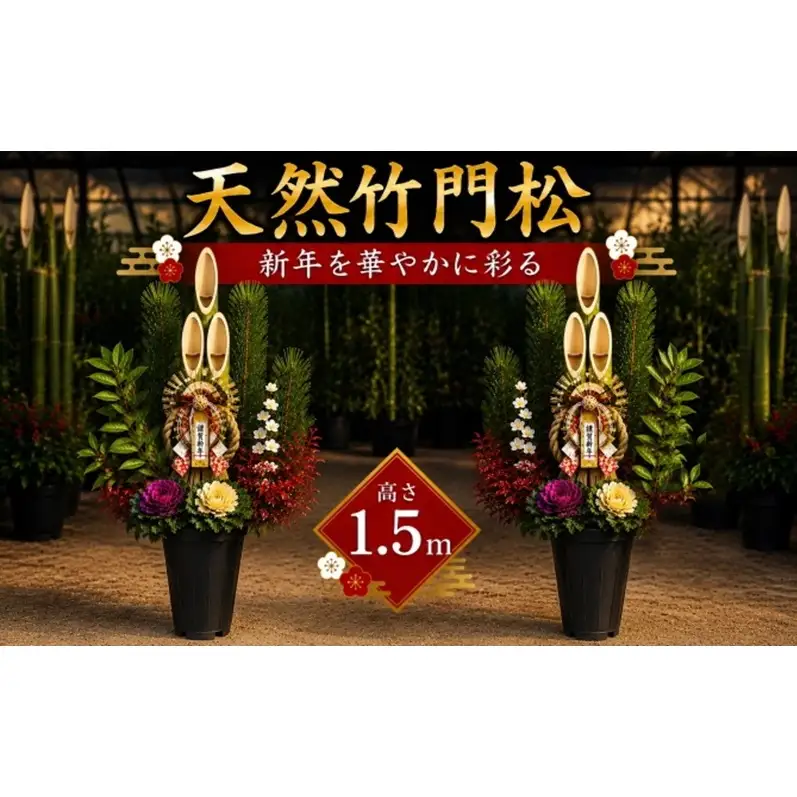 門松 天然竹 1対(2個) 高さ:150cm 正月飾り