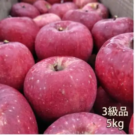 【訳あり品】りんご(ふじ)(3級品)5kg【配送不可地域：離島】【1783407】