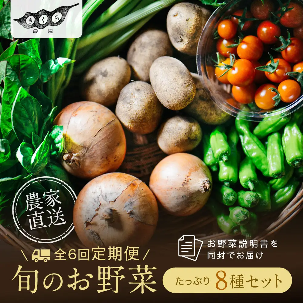 【先行予約　2027年5月より発送】【全6回定期便】農家からお届け！旬のお野菜たっぷり8種セット