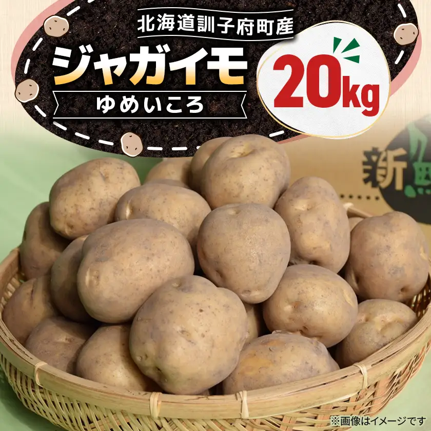 【北海道訓子府町】ゆめいころ(ジャガイモ)20kg【配送不可地域：離島・沖縄県】【1771325】