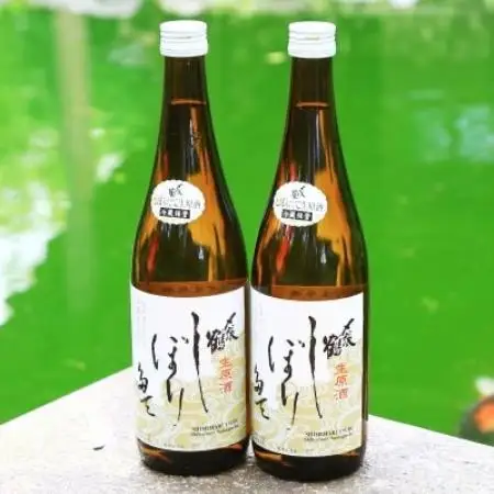 冬季限定 [1月上旬発送] 蔵出ししぼりたて 生原酒720ml×2本 関川の味【配送不可地域：離島】【2000750】