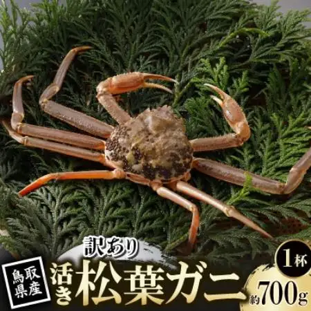 【先行予約】鳥取県産 訳あり 活 松葉がに 700g×1杯(中村商店)2026年11月発送【配送不可地域：離島・北海道・沖縄県・東北・信越、北陸】【1779407】