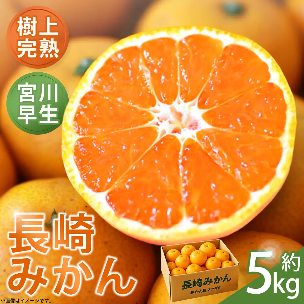 【 樹上完熟 】 長崎みかん （ 宮川早生 ） 約5kg 果物 フルーツ 国産 長崎県産 果実 果汁 果肉 柑橘 【 2026年11月下旬～12月下旬発送予定 】