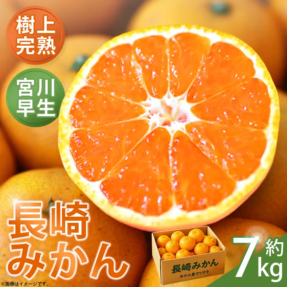 【 樹上完熟 】 長崎みかん （ 宮川早生 ） 約7kg 果物 フルーツ 国産 長崎県産 果実 果汁 果肉 柑橘 【 2026年11月下旬～12月下旬発送予定 】