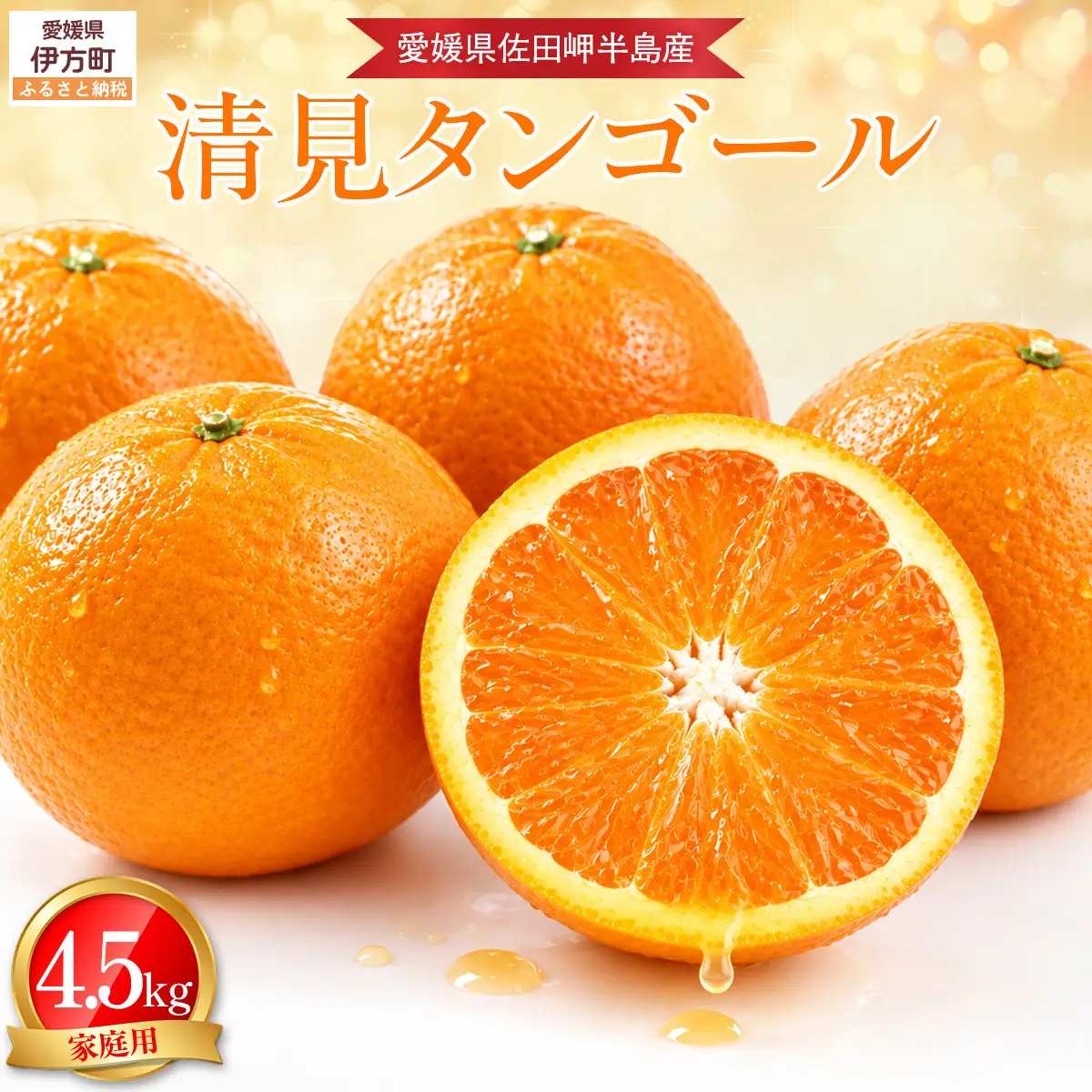 【先行予約】【農家直送】愛媛県産 清見タンゴール 家庭用 4.5kg（2027年3月上旬～4月下旬に順次発送予定）IKTC021