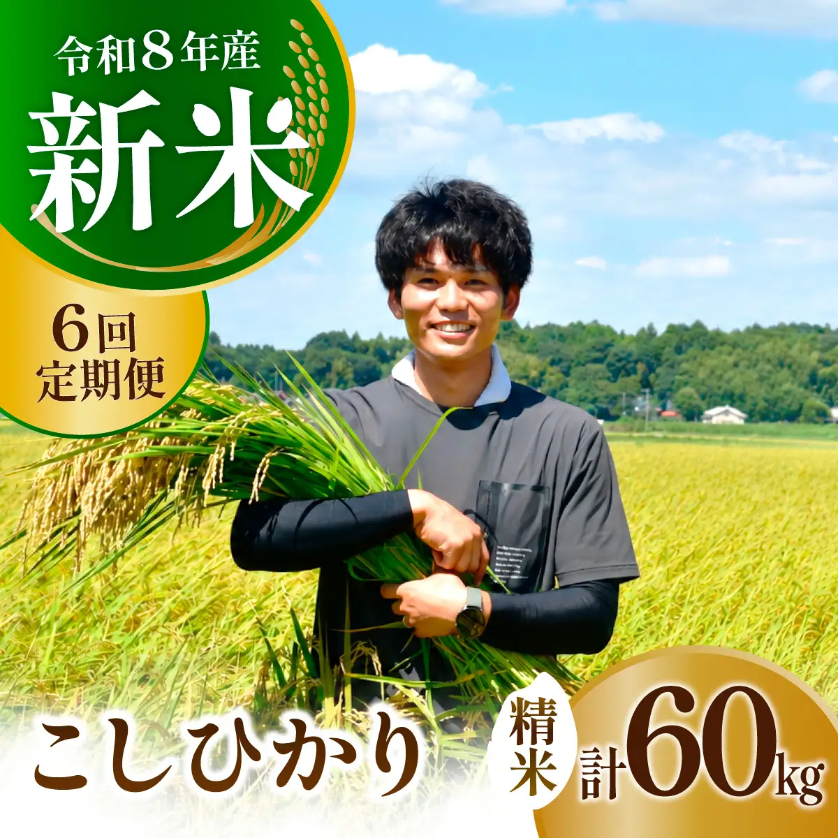 【6回定期便】新米 コシヒカリ 精米 10kg 令和8年度 農家直送 | 定期便 6回 お米 米 白米 コシヒカリ 精米 茨城県 龍ケ崎市
