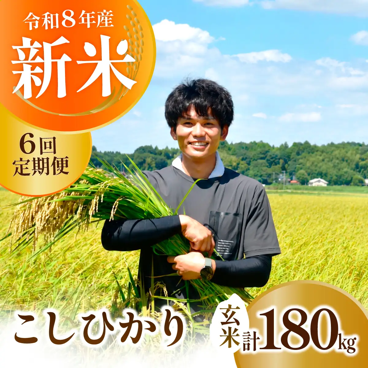 【6回定期便】新米 コシヒカリ 精米 10kg 令和8年度 農家直送 | 定期便 6回 お米 米 玄米 コシヒカリ  茨城県 龍ケ崎市