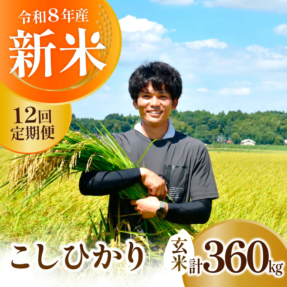 【12回定期便】新米 コシヒカリ 精米 10kg 令和8年度 農家直送 | 定期便 12回 お米 米 玄米 コシヒカリ  茨城県 龍ケ崎市