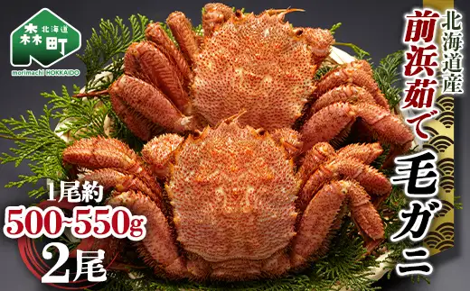 【12/27~12/31にお届け】北海道 毛ガニ 容量が選べる 前浜茹で毛がに 約500g~550g 2尾 かに カニ 蟹 ガニ がに 森町 毛蟹 毛かに 毛がに 毛カニ 毛ガニ mr1-1526