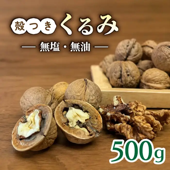 完熟！殻付きくるみ（ご家庭用、無選果）500g｜長野県 国産 東御市産 無油 無塩【TKG浅間ヘーゼルナッツ】