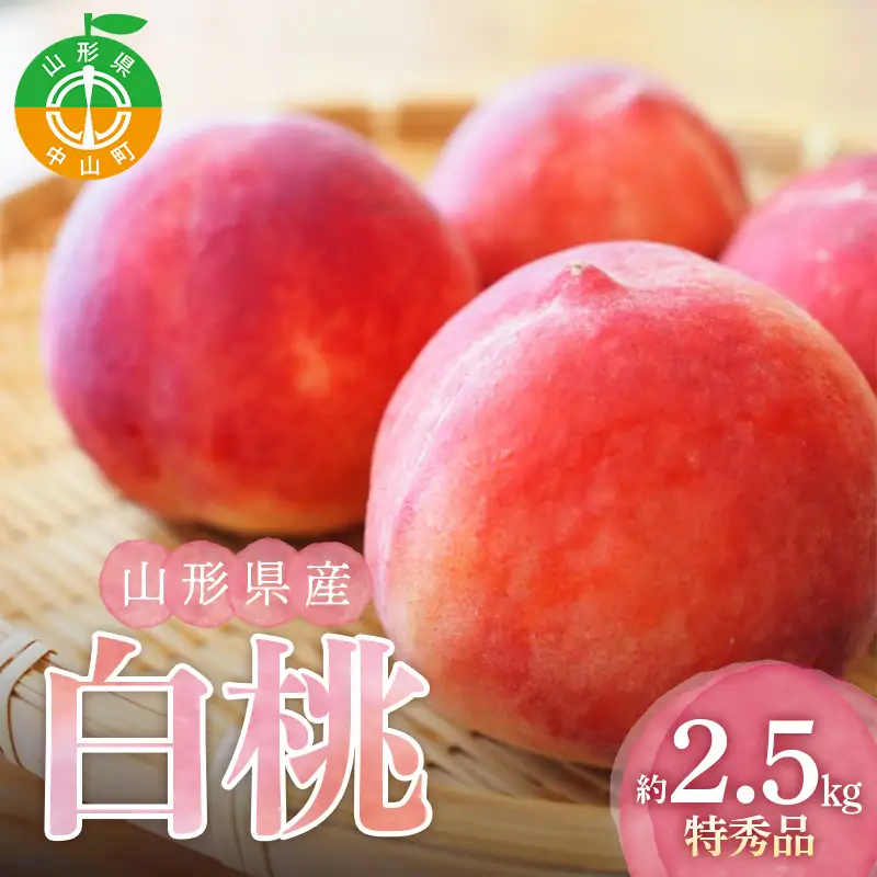 【2027年産先行受付】山形県産白桃約2.5kg 特秀品 品種・玉数おまかせ 果物 くだもの フルーツ 桃 もも モモ 山形県 中山町 F4A-1061