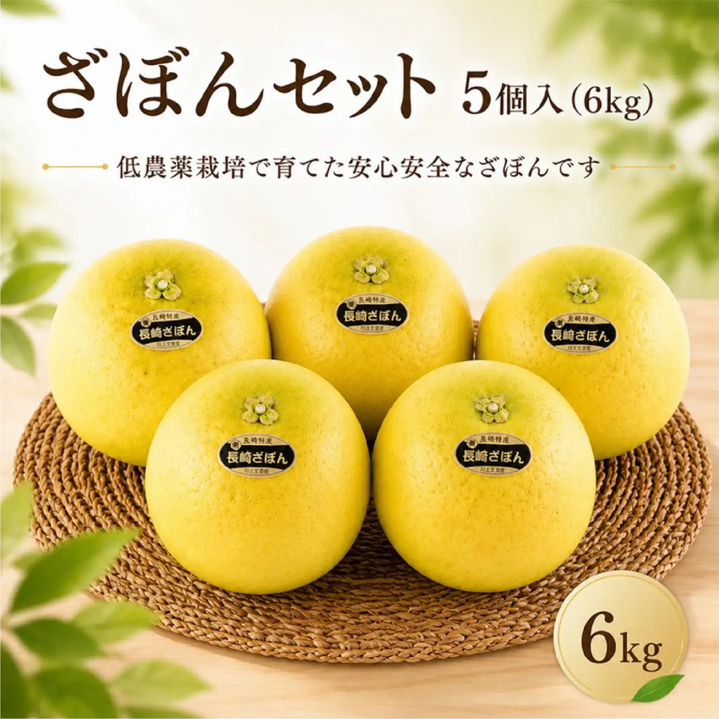 【 先行予約 】 ざぼん 5個 セット (約 6kg) 贈答用 柑橘 果物 ザボン 減農薬 お歳暮 ギフト のし対応 ジューシー 川上文旦堂 