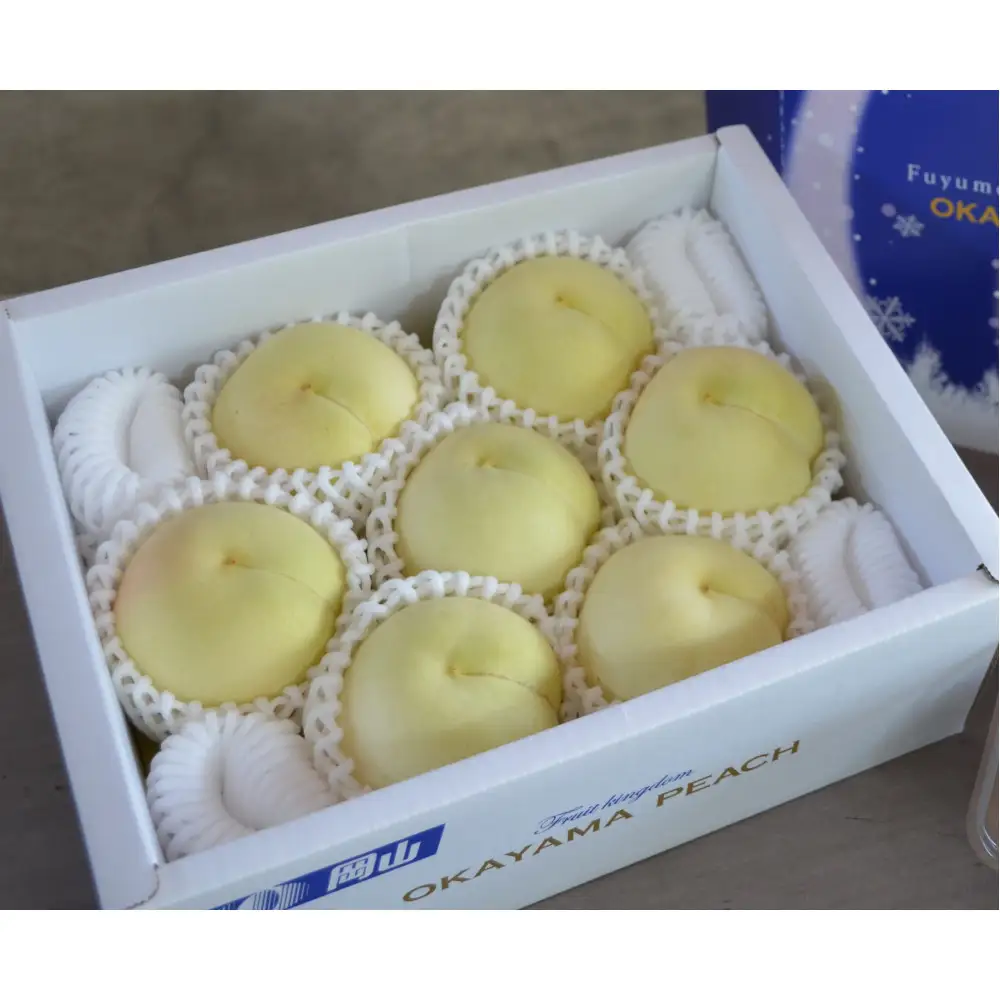 岡山冬桃がたり約1.35kg（7～9玉）【2026年12月上旬以降発送】