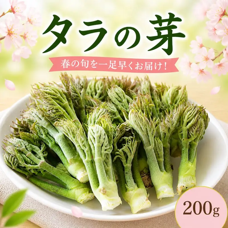 【 先行予約 】 タラの芽 200g 春の味覚 たらの芽 山菜 三好市 徳島