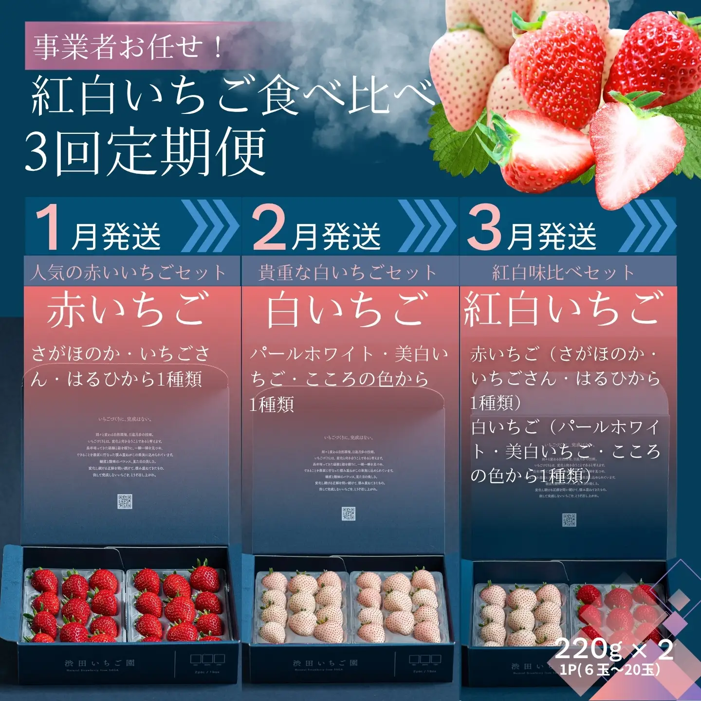 【先行受付！2027年1月から発送開始】事業者お任せ！紅白いちご食べ比べ定期便　全3回（1月〜3月）：B400-024
