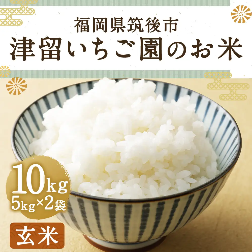 津留いちご園のお米 玄米 農薬 ・ 化学肥料不使用 ( 栽培期間中 ) 10kg 米 ご飯 白飯 おにぎり 和食 国産 福岡県産 【 2026年11月上旬-2027年10月下旬発送予定 】