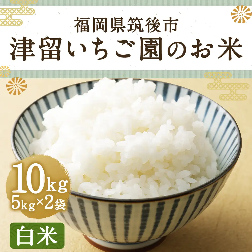 津留いちご園のお米 白米 農薬 ・ 化学肥料不使用 ( 栽培期間中 ) 10kg 米 ご飯 白飯 おにぎり 和食 国産 福岡県産 【 2026年11月上旬-2027年10月下旬発送予定 】