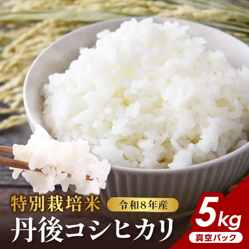 令和8年産 特別栽培米 丹後コシヒカリ 5kg（真空パック）