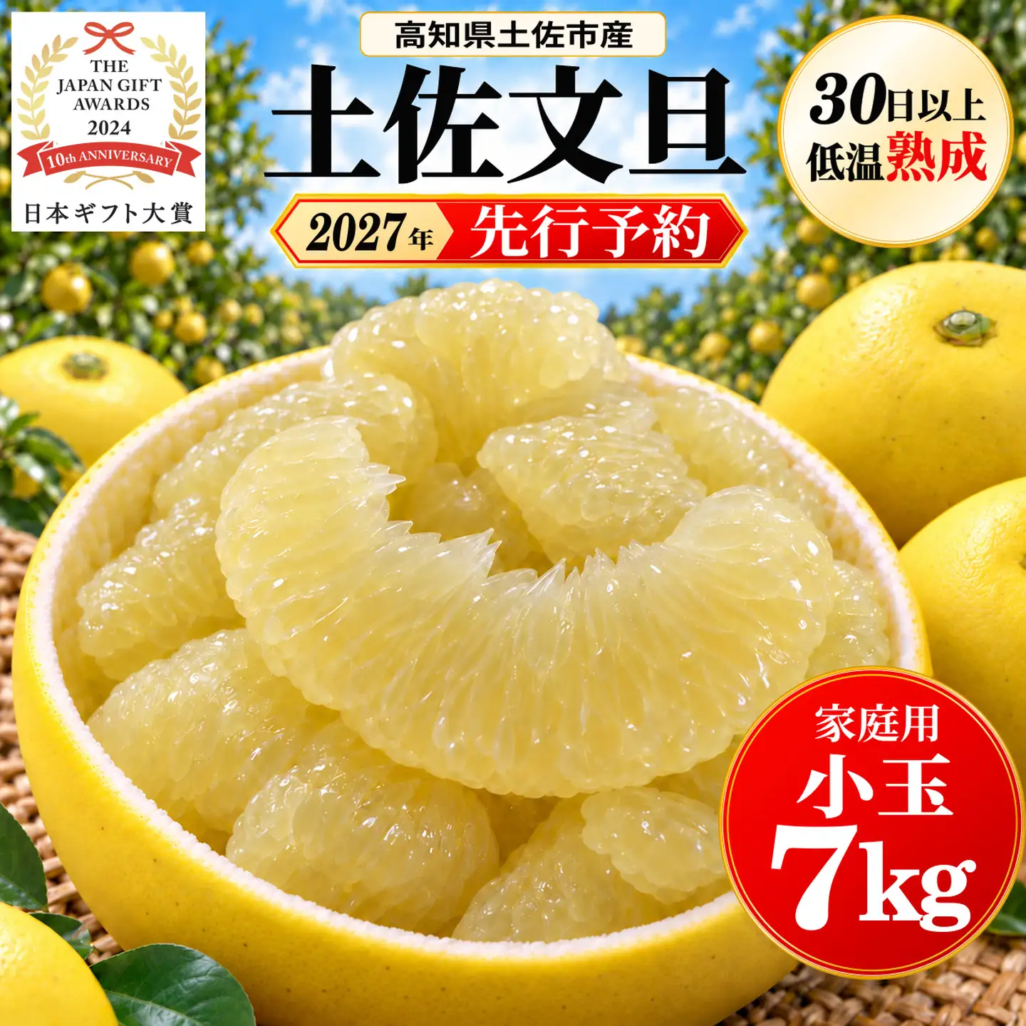 土佐文旦 7kg 小玉 (L-Mサイズ) 先行予約 文旦 [BQAC043]
