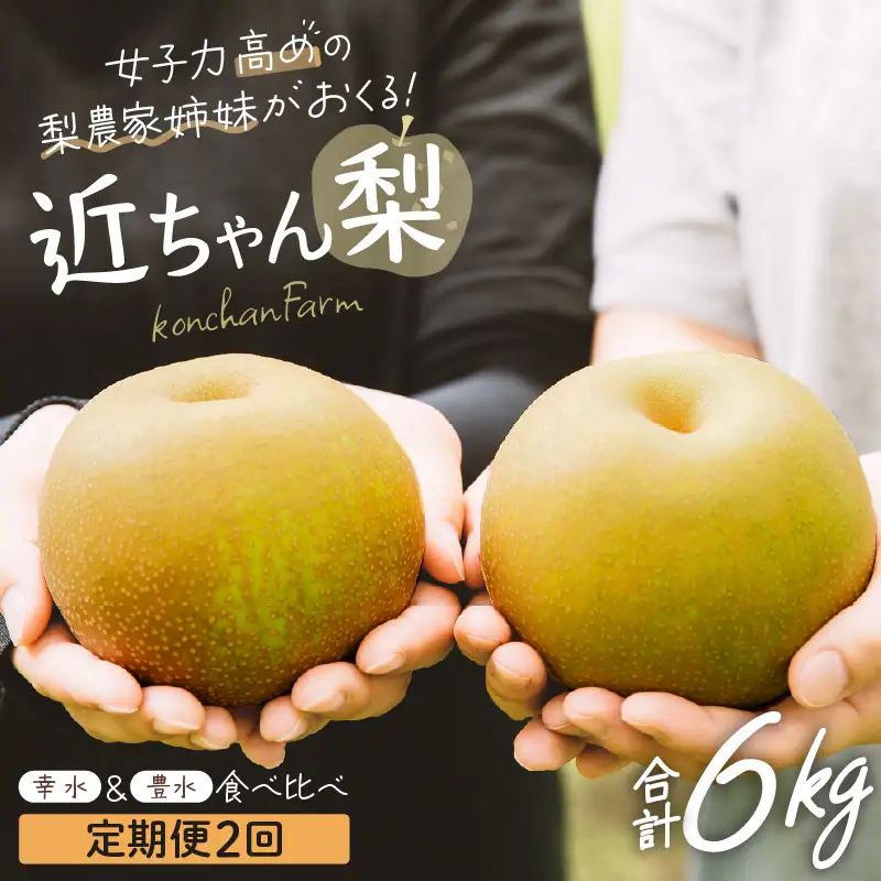 近ちゃん梨 食べ比べセット 合計6kg 【幸水・豊水】 各3kg 定期便2027年8月9月発送 [B-6304]