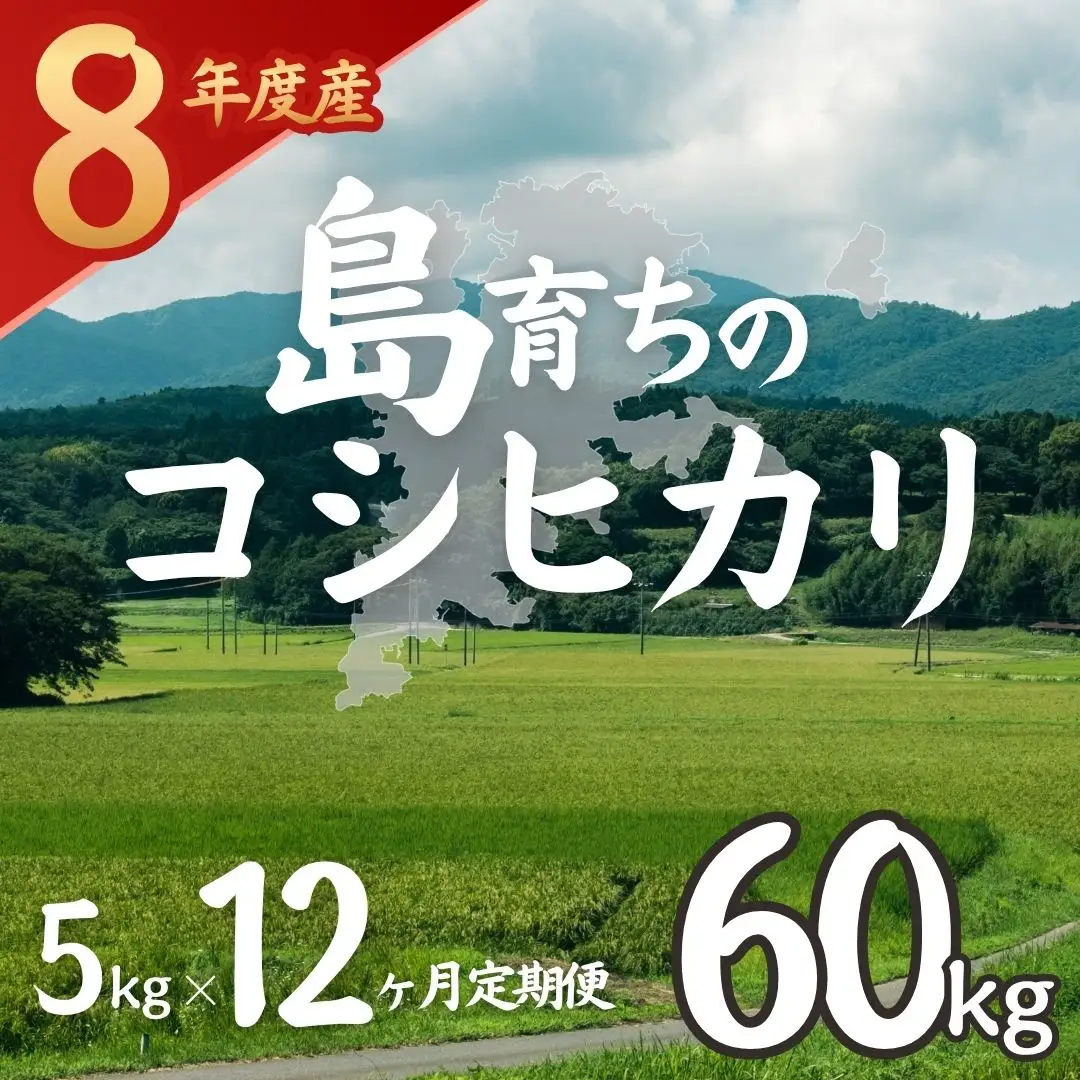 【令和8年産 新米】 お米 コシヒカリ 5kg×12か月定期便 海士町産