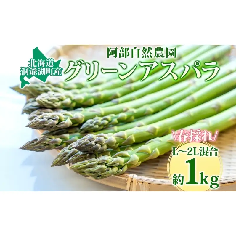 北海道 洞爺湖町産 グリーンアスパラ 約1kg L～2L混合 5月下旬頃お届け 先行受付 路地 アスパラ アスパラガス 野菜 農作物 サラダ 天ぷら 新鮮 国産 人気 お取寄せ 産地直送 冷蔵 洞爺湖