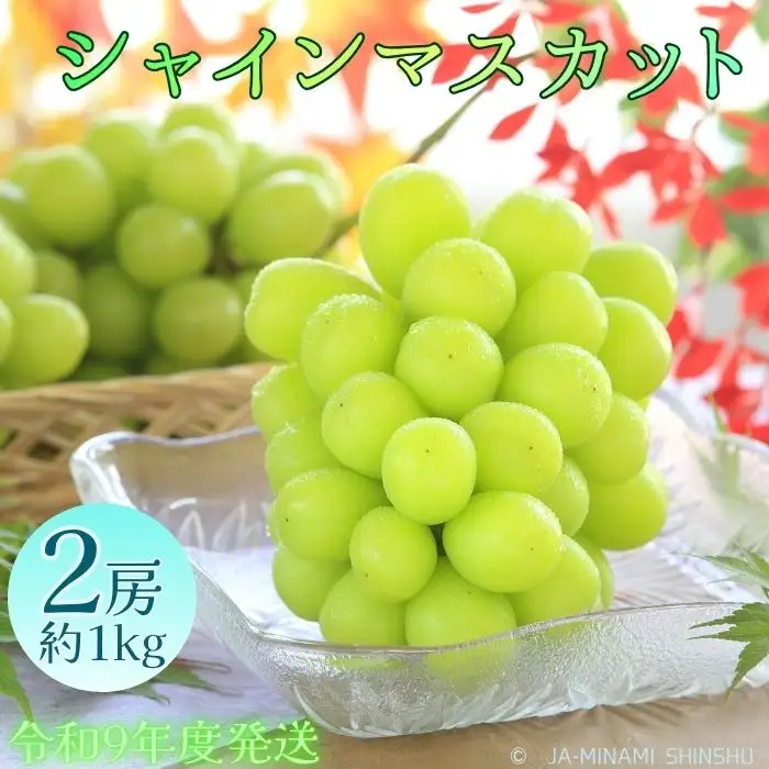 J29 シャインマスカット 秀品 約1kg(2房)