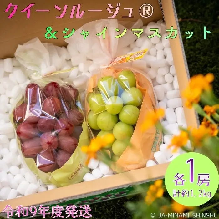J32 クイーンルージュ®＆シャインマスカット 秀品 約1.2kg (各1房)