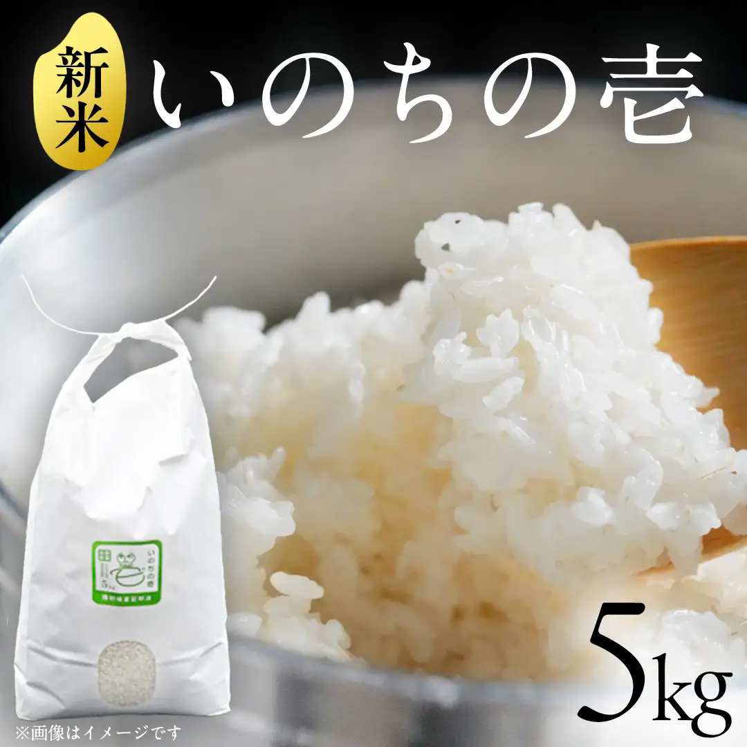 茨城県城里町産 いのちの壱 5kg (2026年産)  米 こめ (AL001)