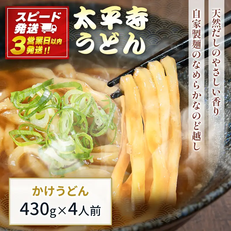 【3営業日以内発送!!】かけうどん 冷凍 天然だし 自家製麺 つゆ付き 簡単調理