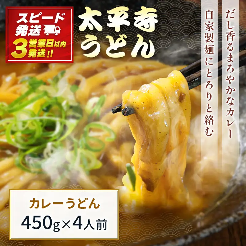 【3営業日以内発送!!】カレーうどん カレー 冷凍 天然だし 自家製麺 つゆ付き 簡単調理